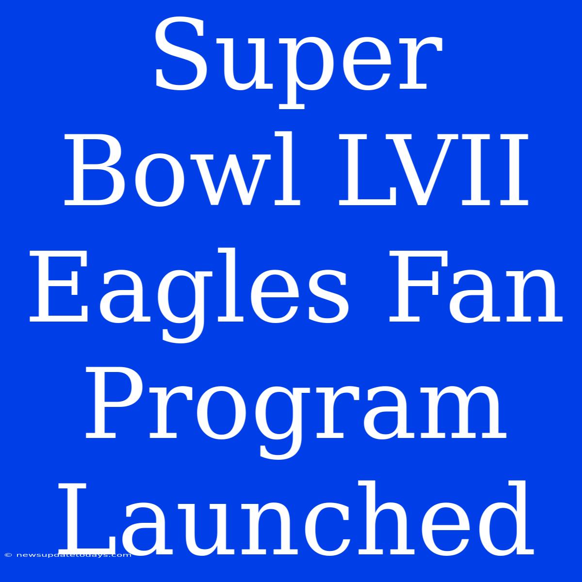 Super Bowl LVII Eagles Fan Program Launched