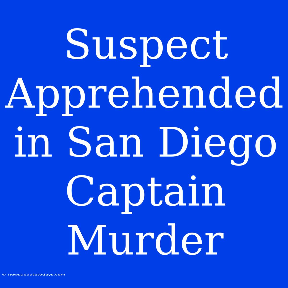 Suspect Apprehended In San Diego Captain Murder