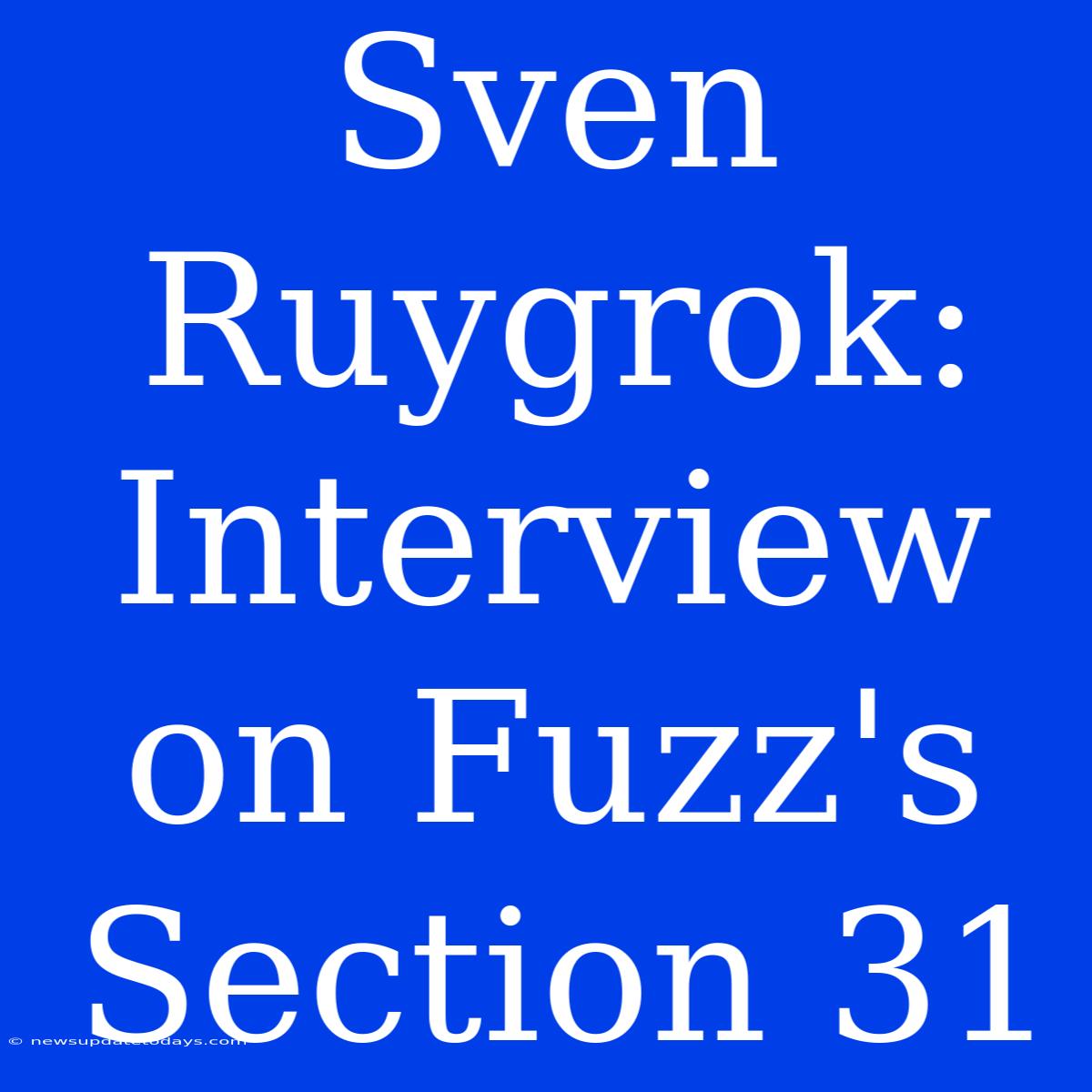 Sven Ruygrok: Interview On Fuzz's Section 31