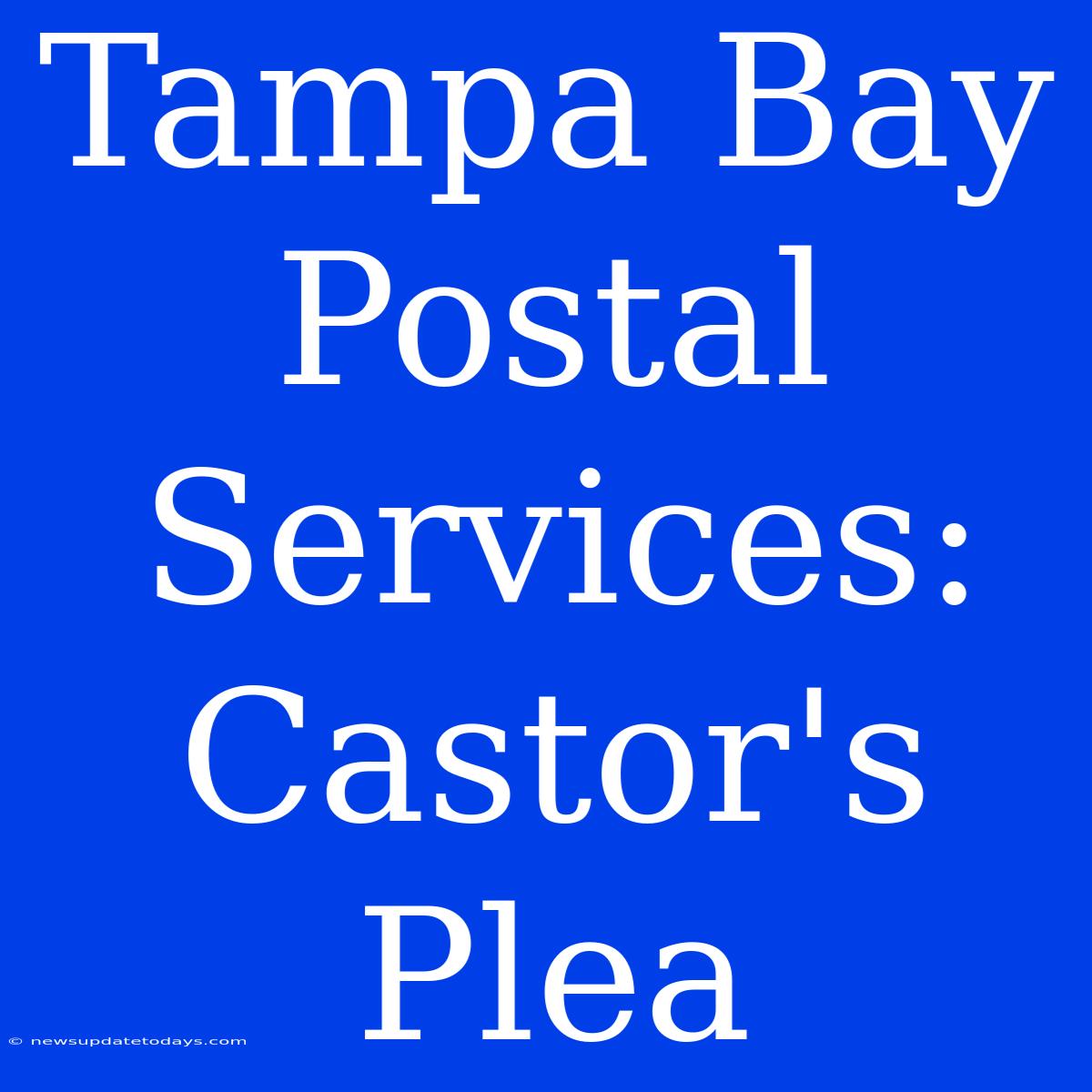 Tampa Bay Postal Services: Castor's Plea