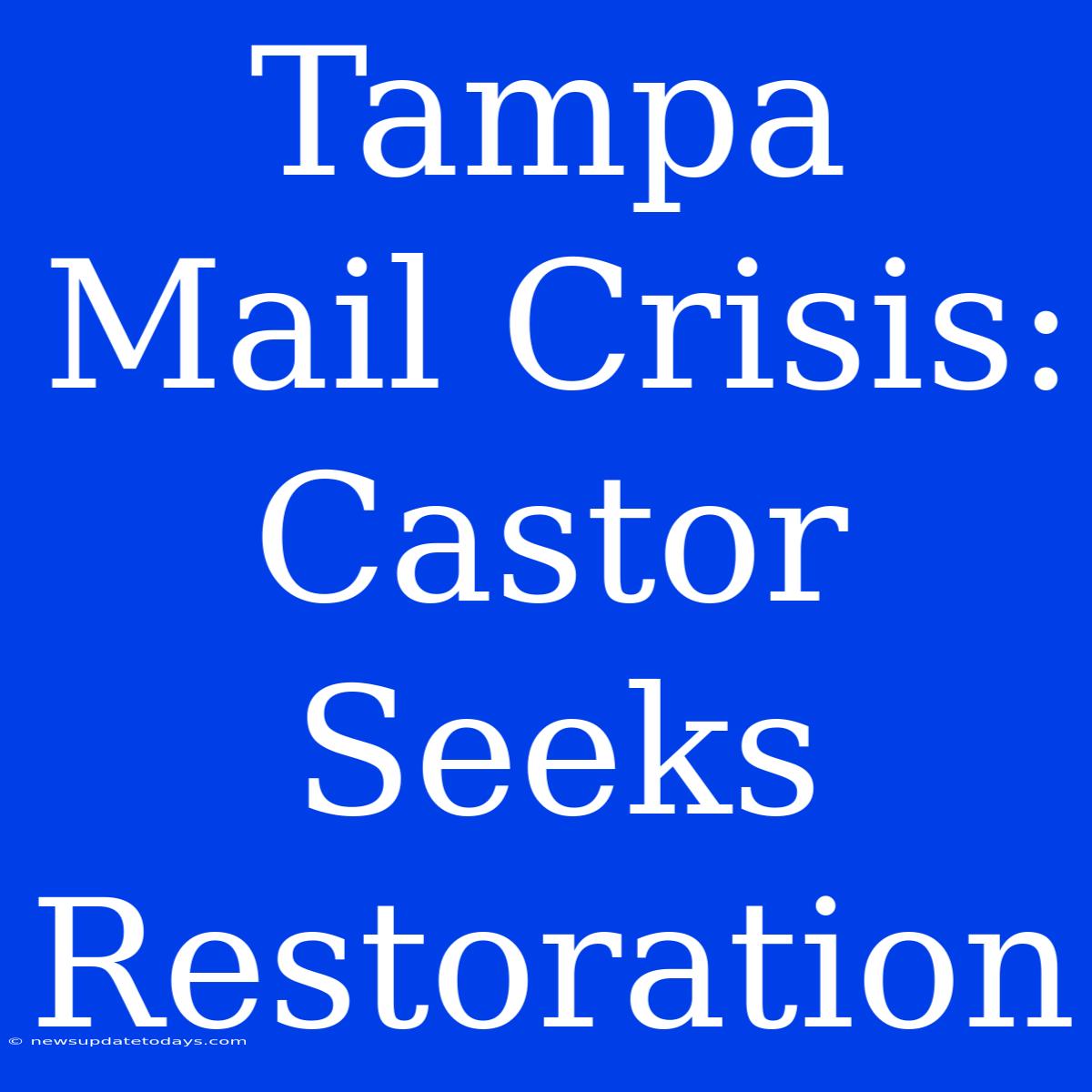 Tampa Mail Crisis: Castor Seeks Restoration