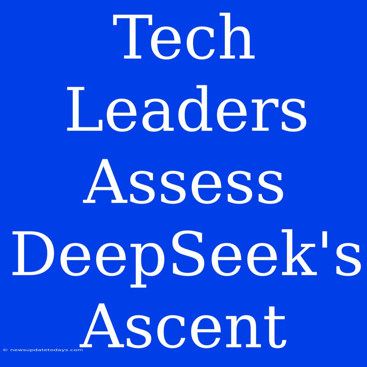 Tech Leaders Assess DeepSeek's Ascent