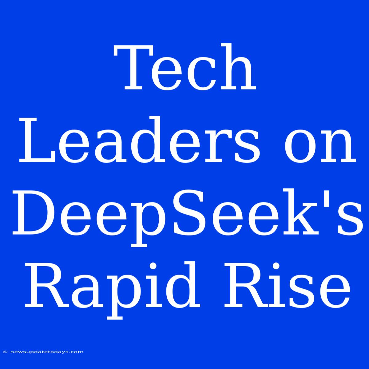 Tech Leaders On DeepSeek's Rapid Rise