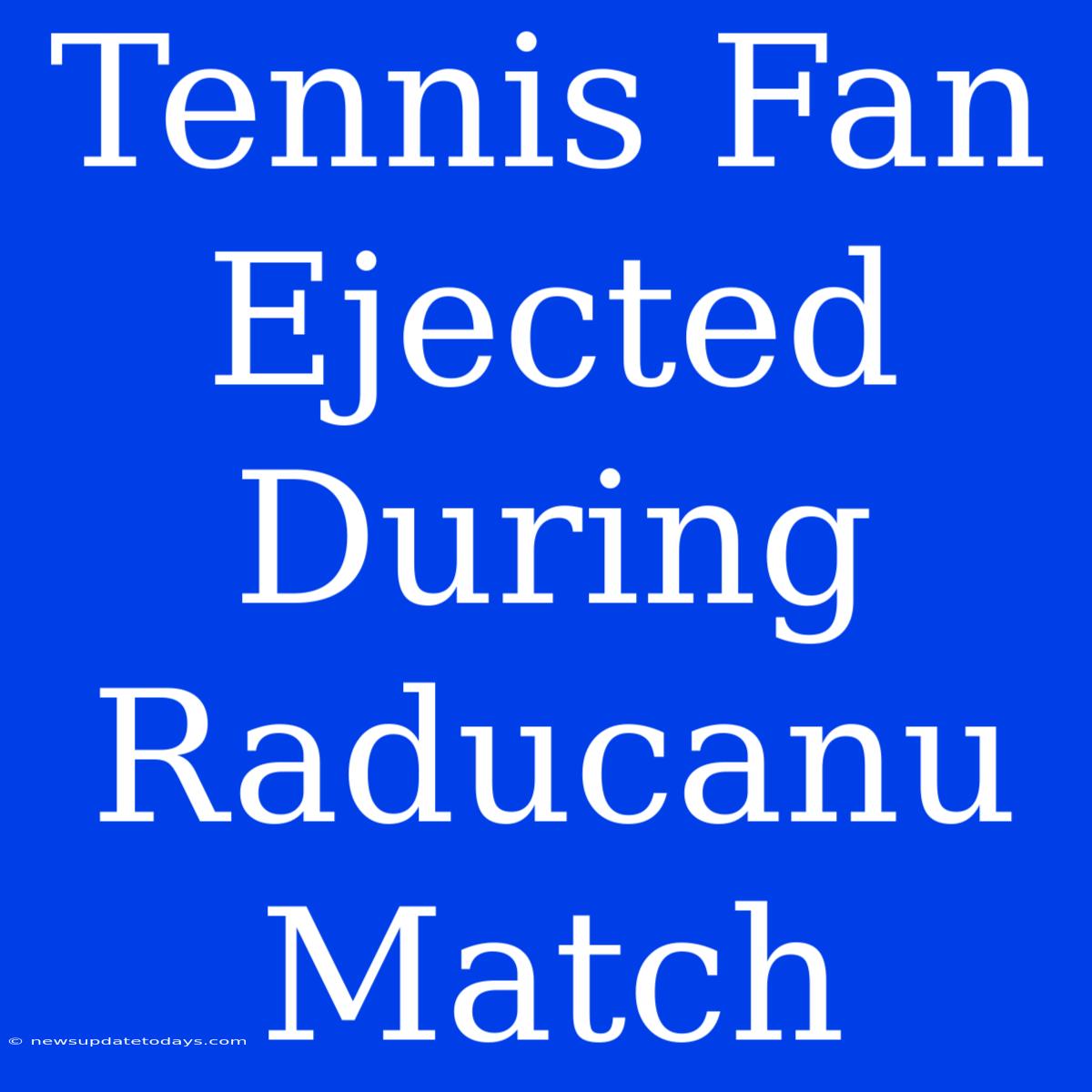 Tennis Fan Ejected During Raducanu Match