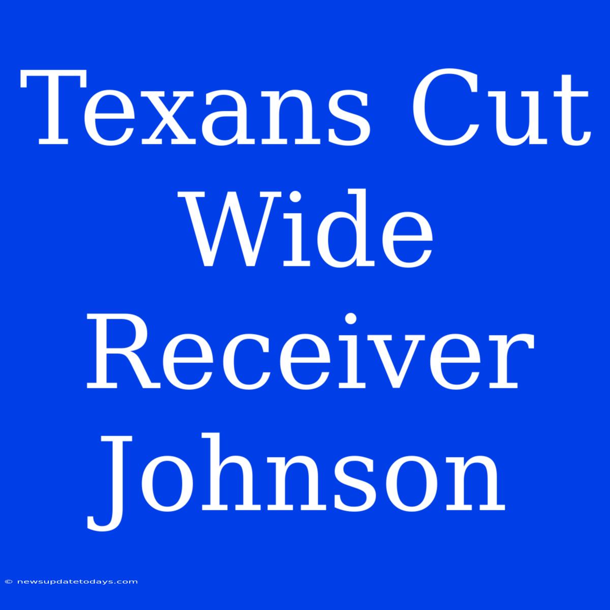 Texans Cut Wide Receiver Johnson