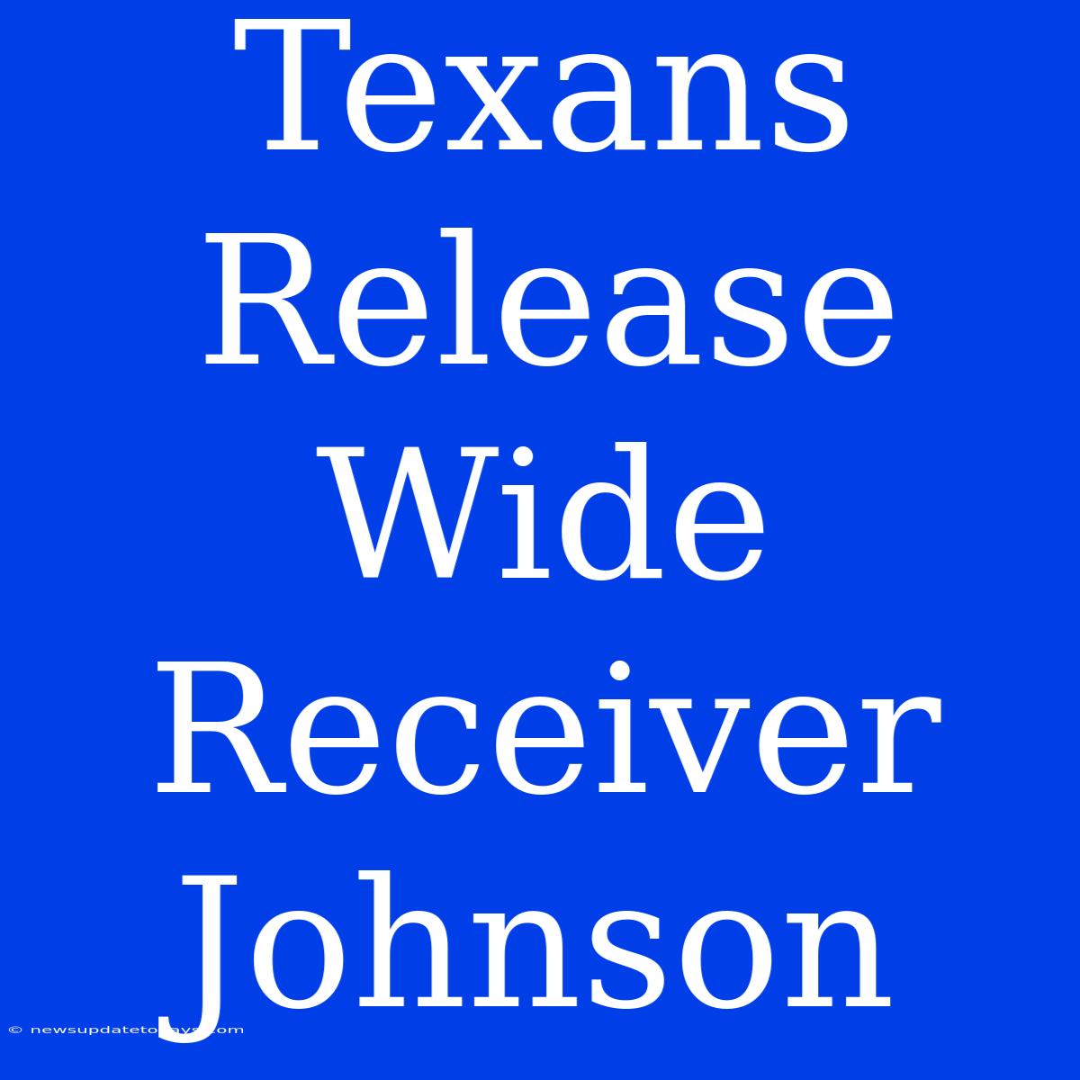 Texans Release Wide Receiver Johnson