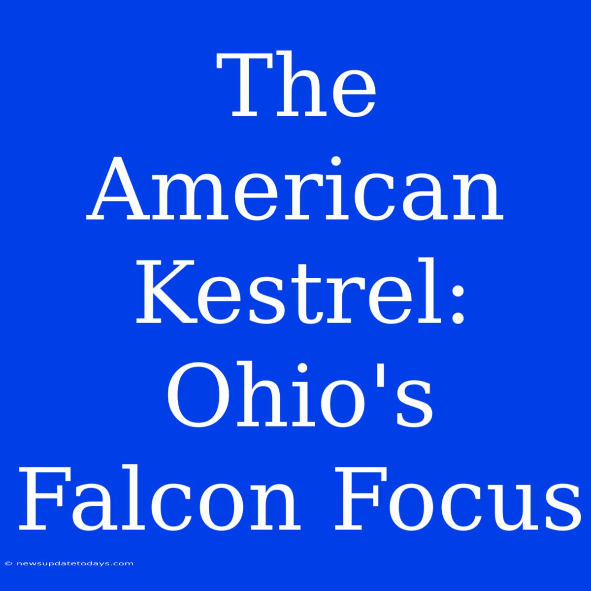 The American Kestrel: Ohio's Falcon Focus