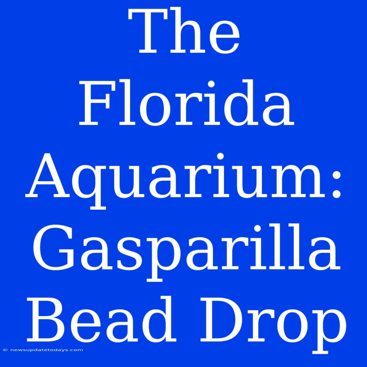 The Florida Aquarium: Gasparilla Bead Drop