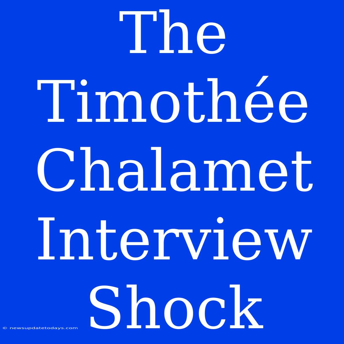 The Timothée Chalamet Interview Shock