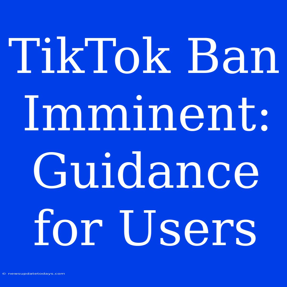 TikTok Ban Imminent: Guidance For Users