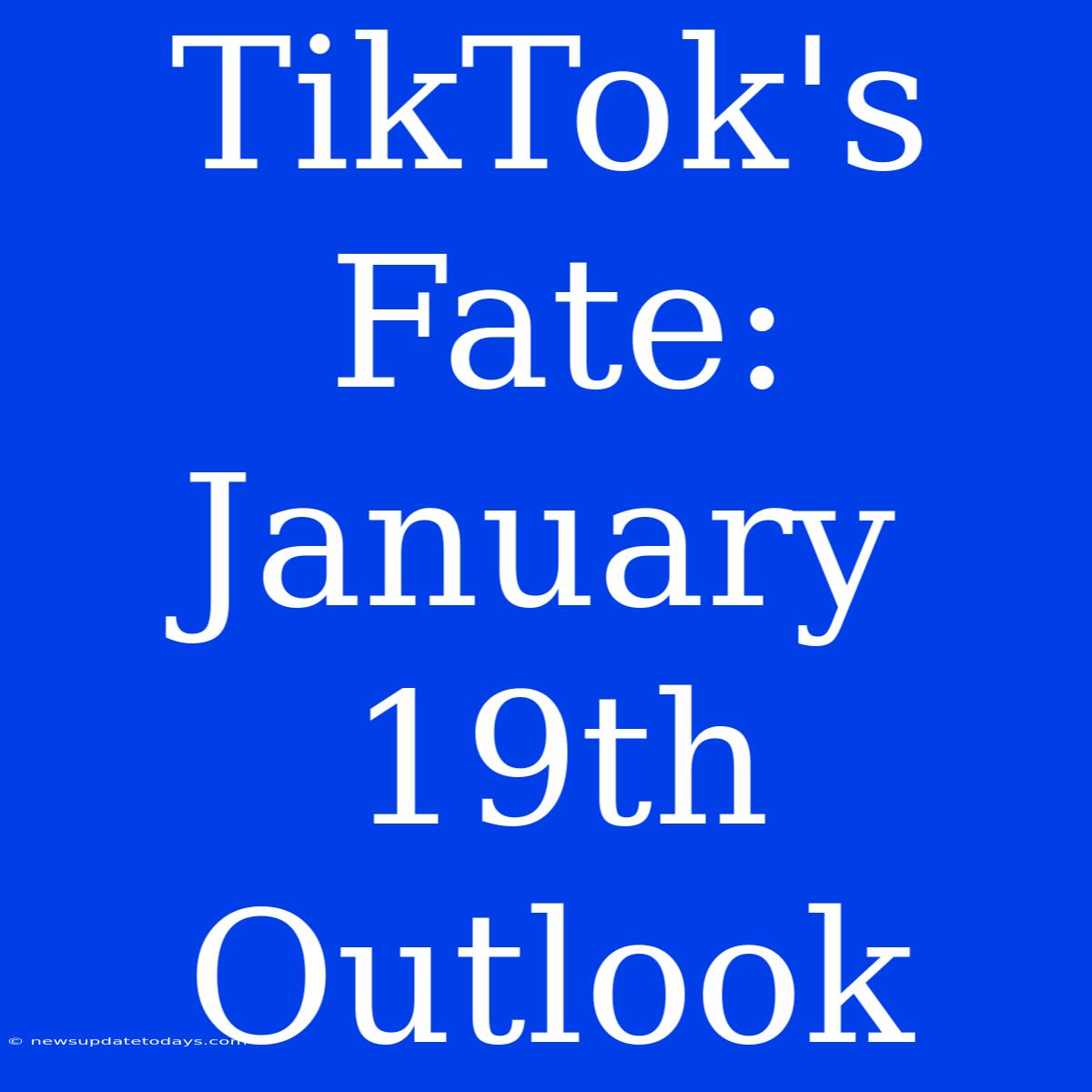 TikTok's Fate: January 19th Outlook