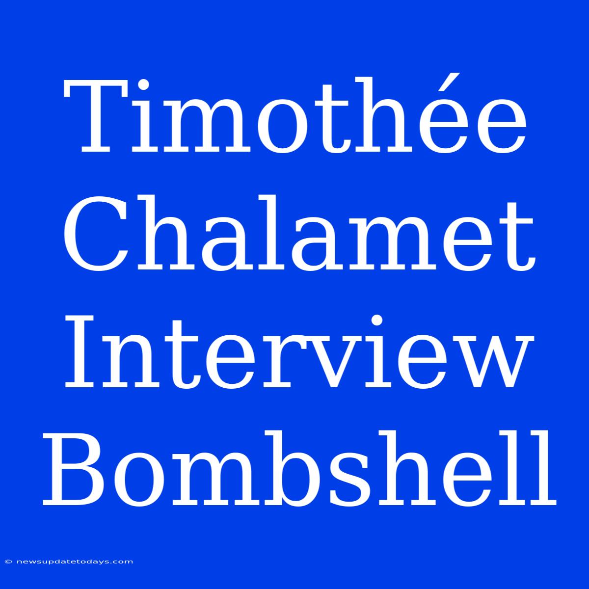 Timothée Chalamet Interview Bombshell