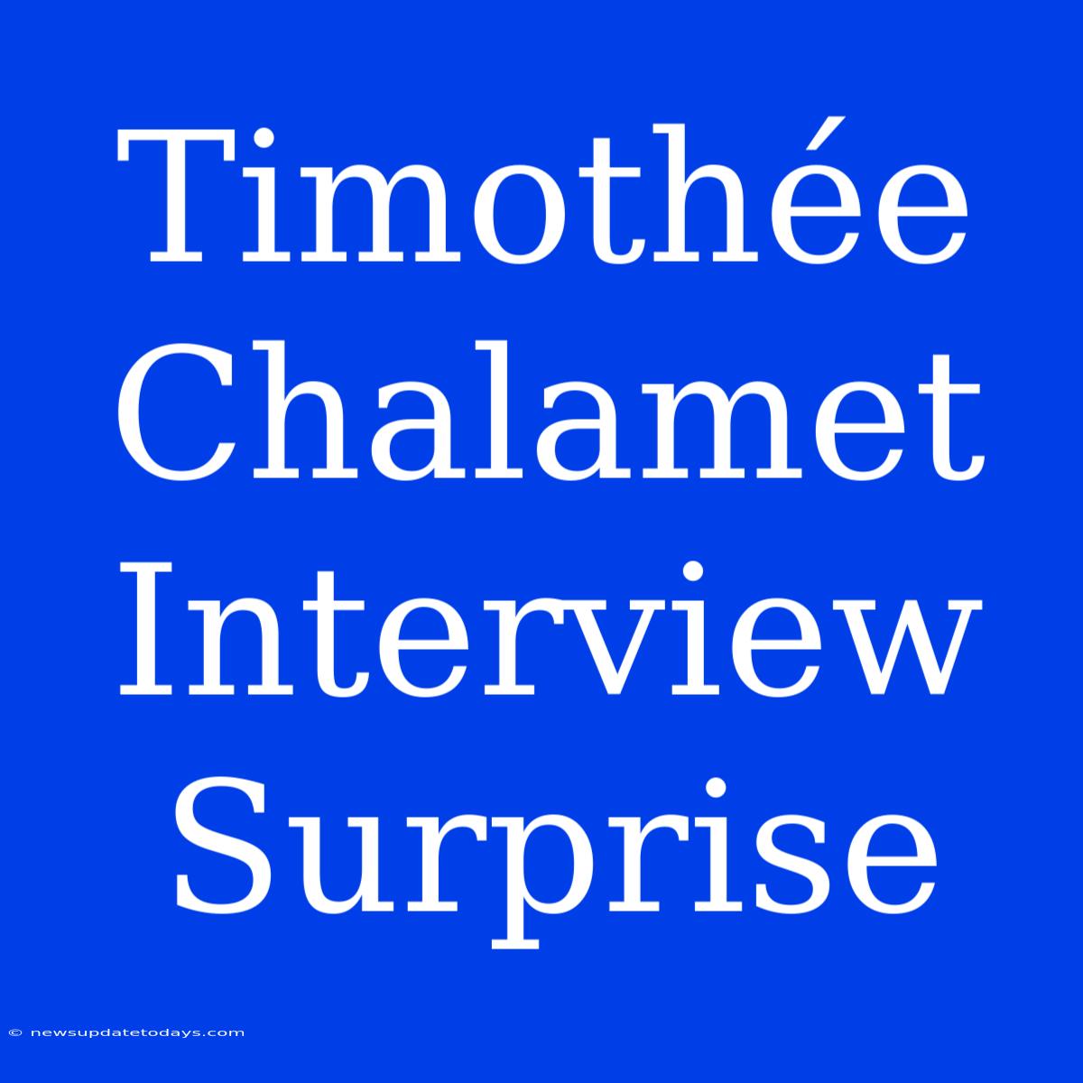 Timothée Chalamet Interview Surprise