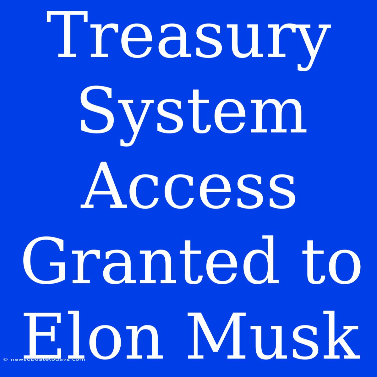 Treasury System Access Granted To Elon Musk