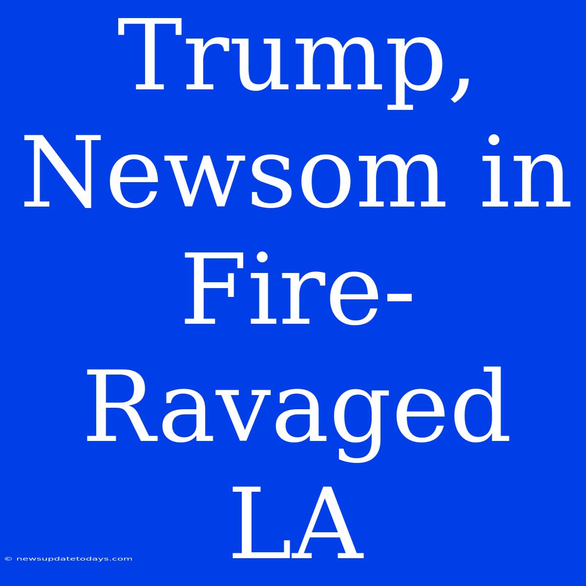 Trump, Newsom In Fire-Ravaged LA