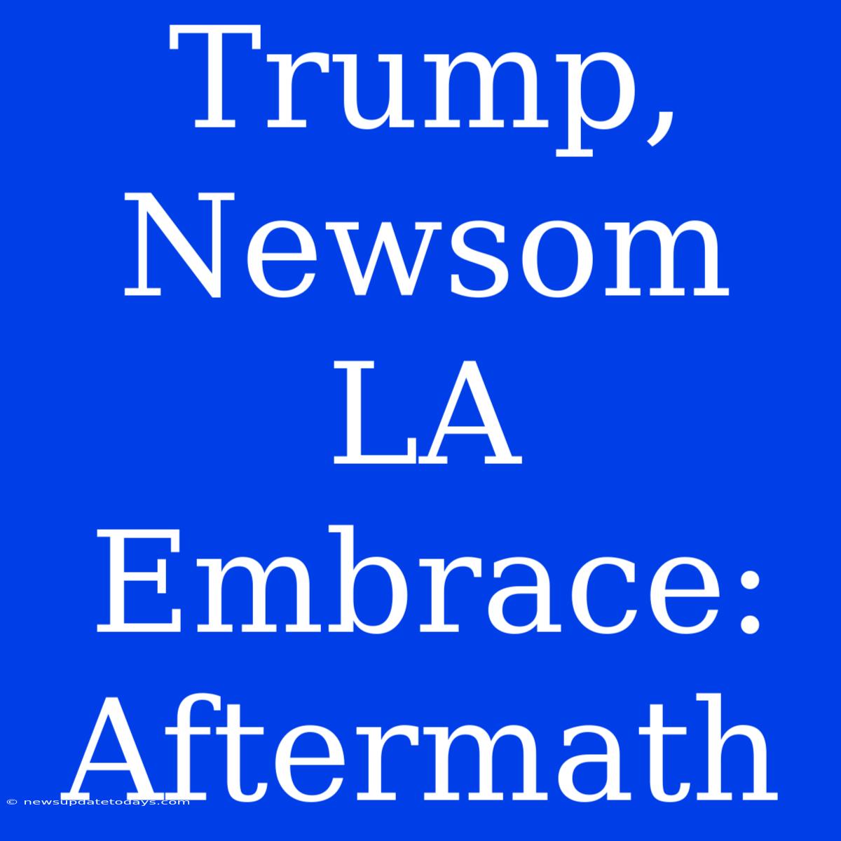 Trump, Newsom LA Embrace: Aftermath