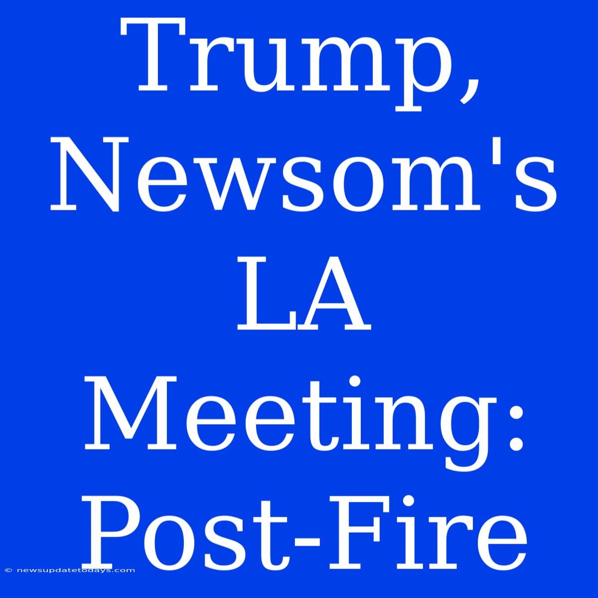 Trump, Newsom's LA Meeting: Post-Fire