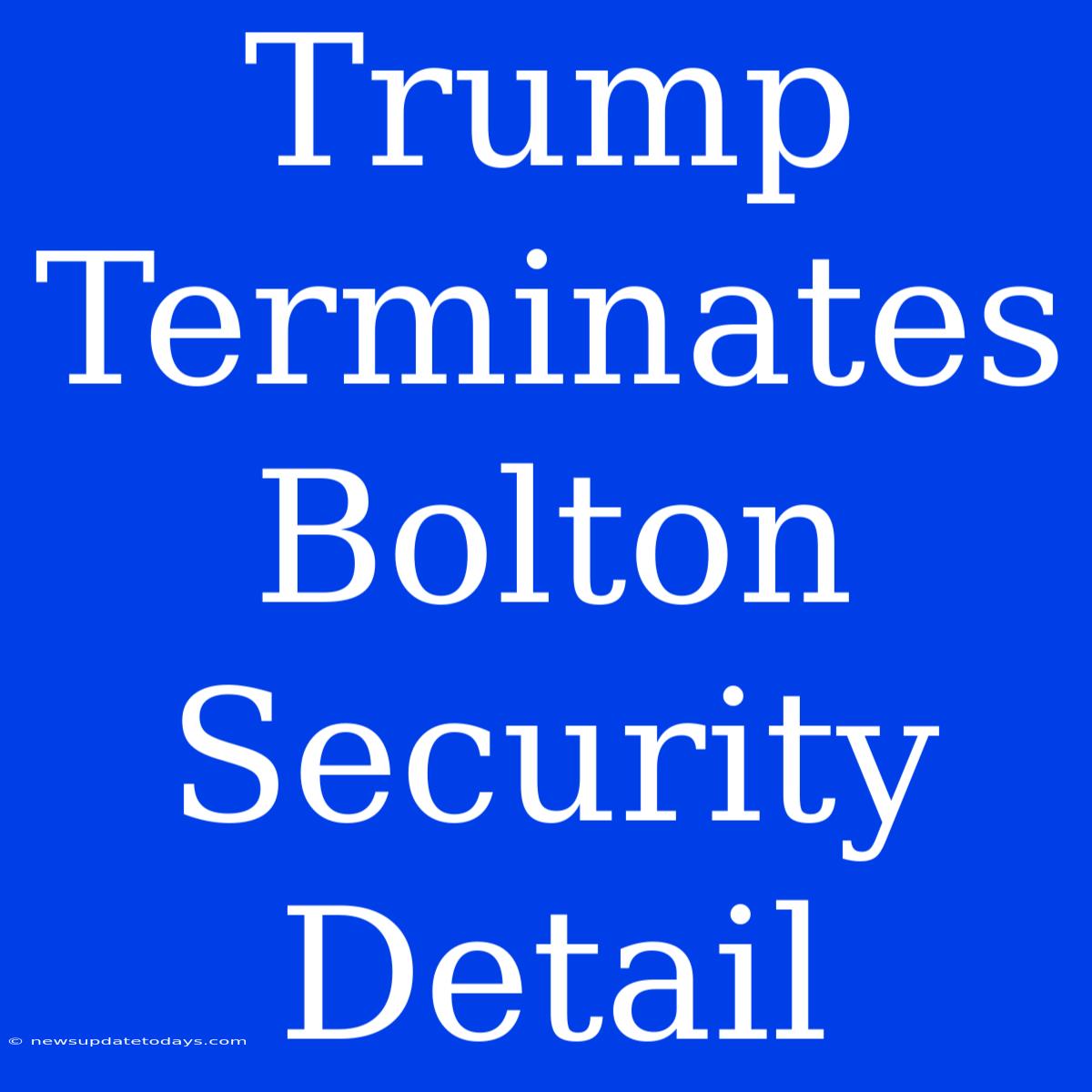 Trump Terminates Bolton Security Detail