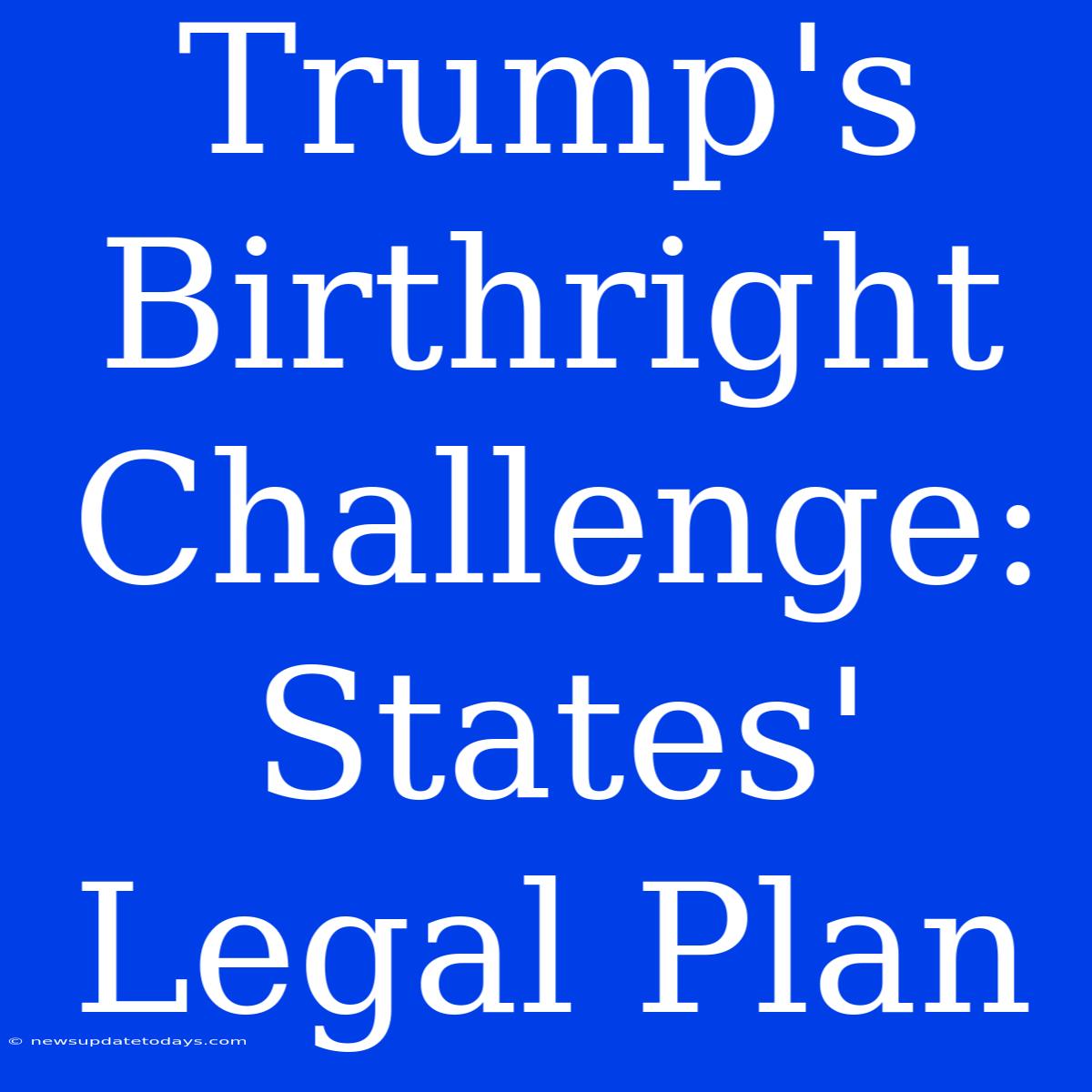 Trump's Birthright Challenge:  States' Legal Plan