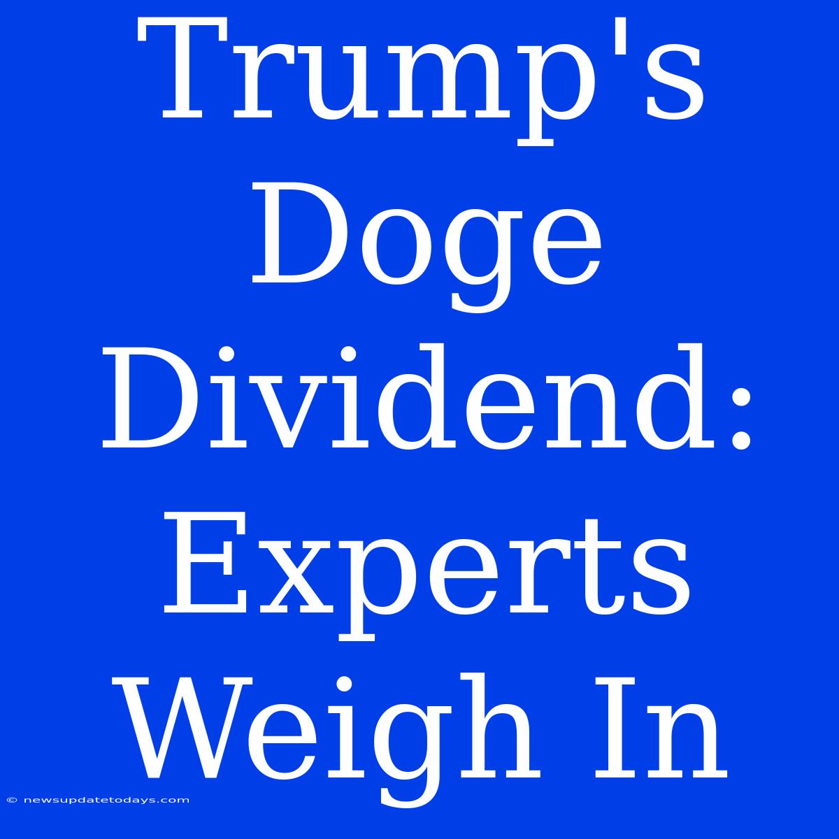 Trump's Doge Dividend: Experts Weigh In