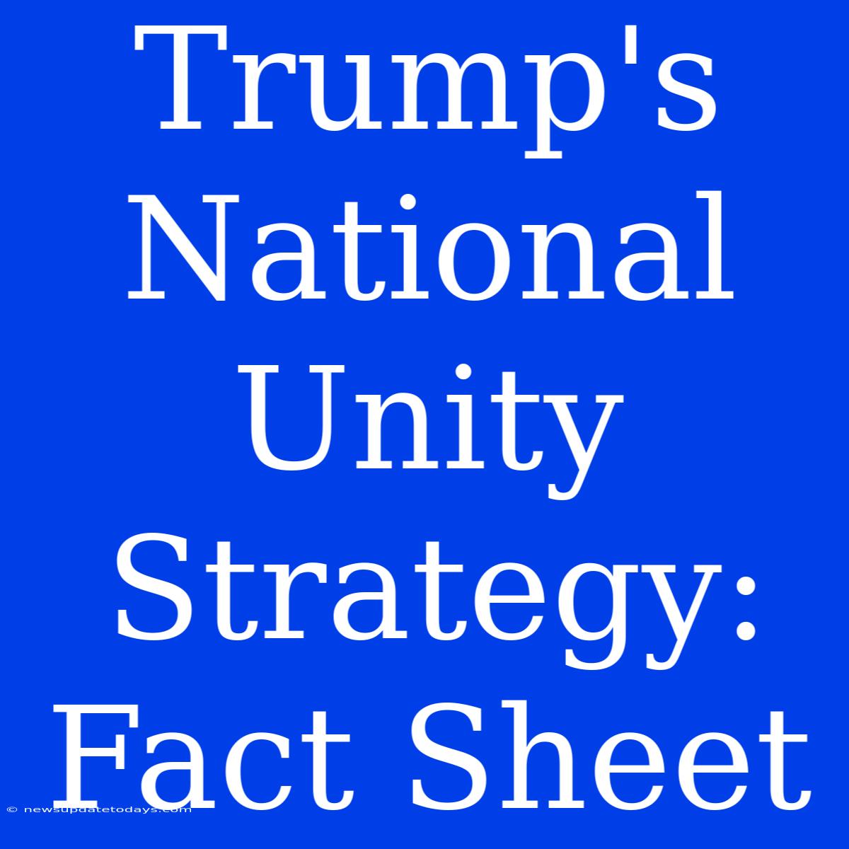 Trump's National Unity Strategy: Fact Sheet