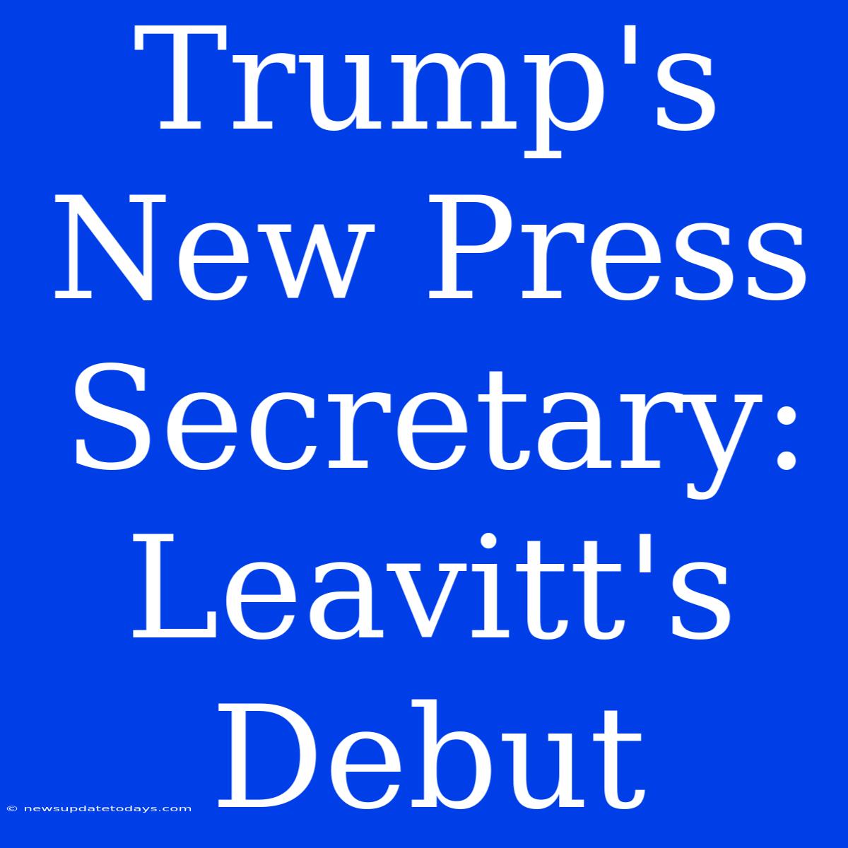 Trump's New Press Secretary: Leavitt's Debut