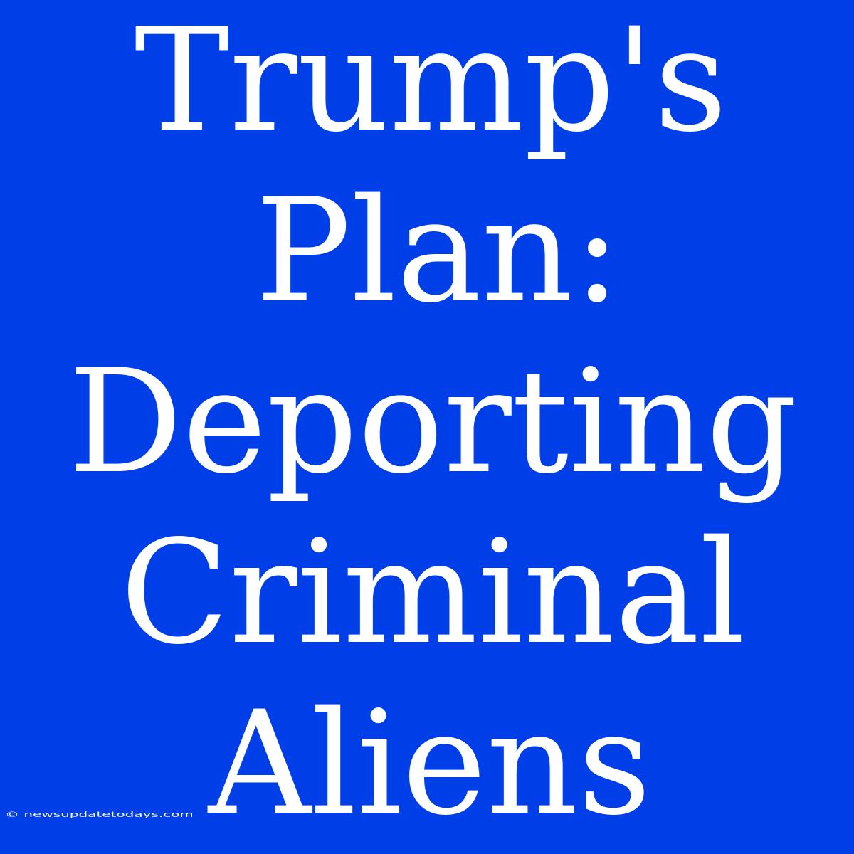 Trump's Plan: Deporting Criminal Aliens