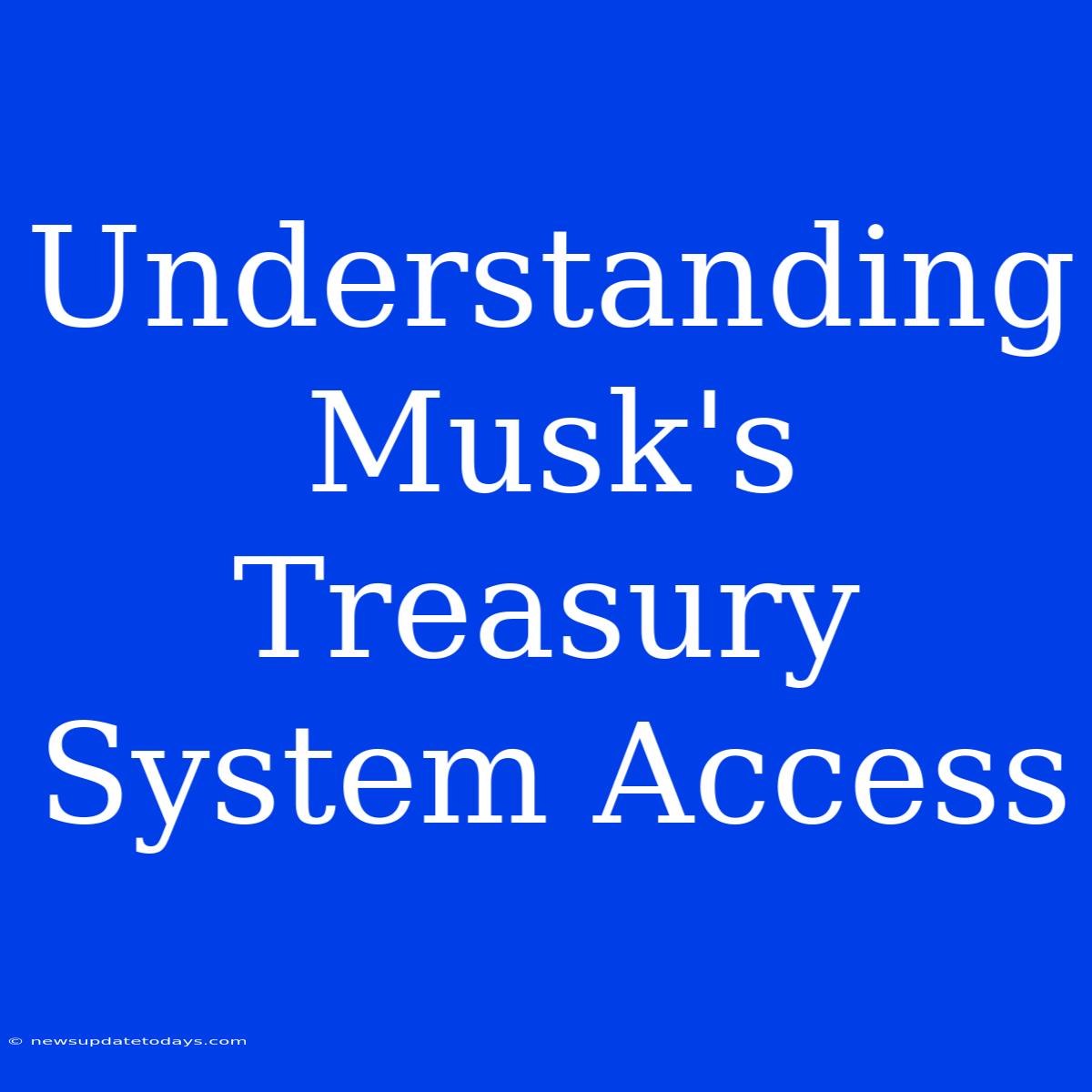 Understanding Musk's Treasury System Access