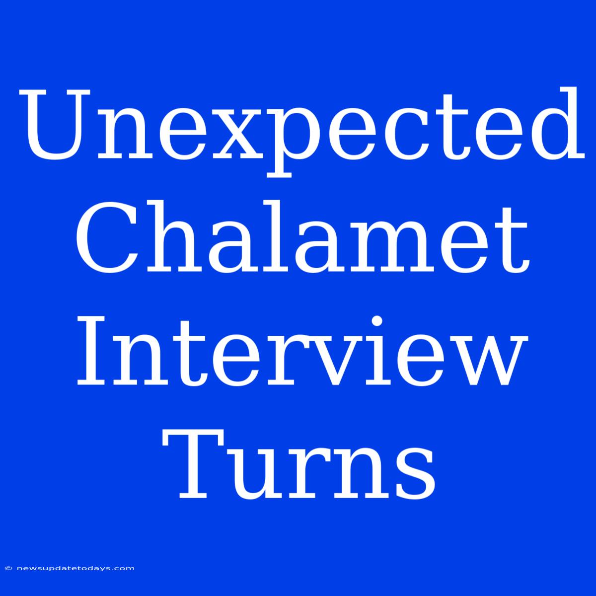 Unexpected Chalamet Interview Turns