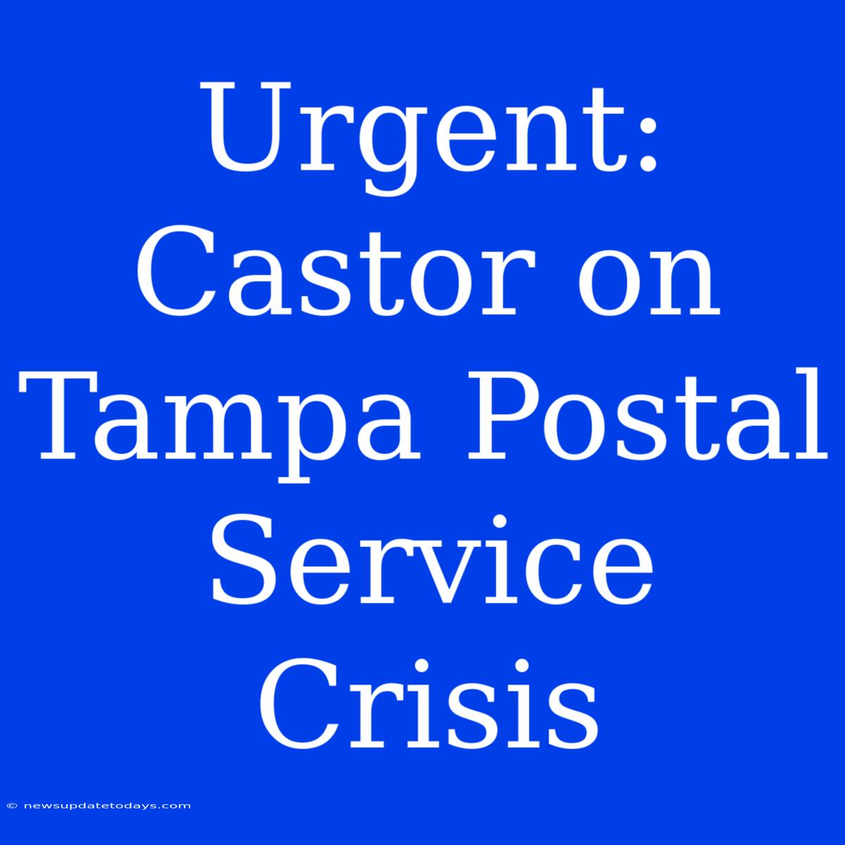 Urgent: Castor On Tampa Postal Service Crisis