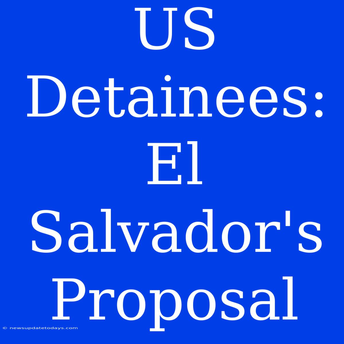 US Detainees: El Salvador's Proposal