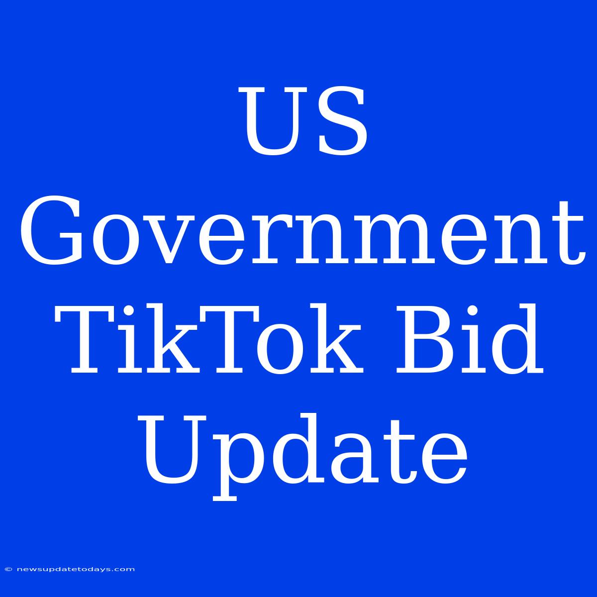 US Government TikTok Bid Update