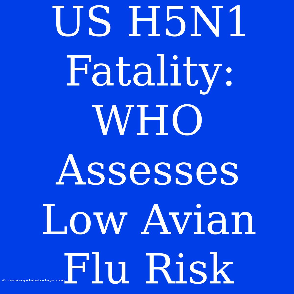 US H5N1 Fatality: WHO Assesses Low Avian Flu Risk