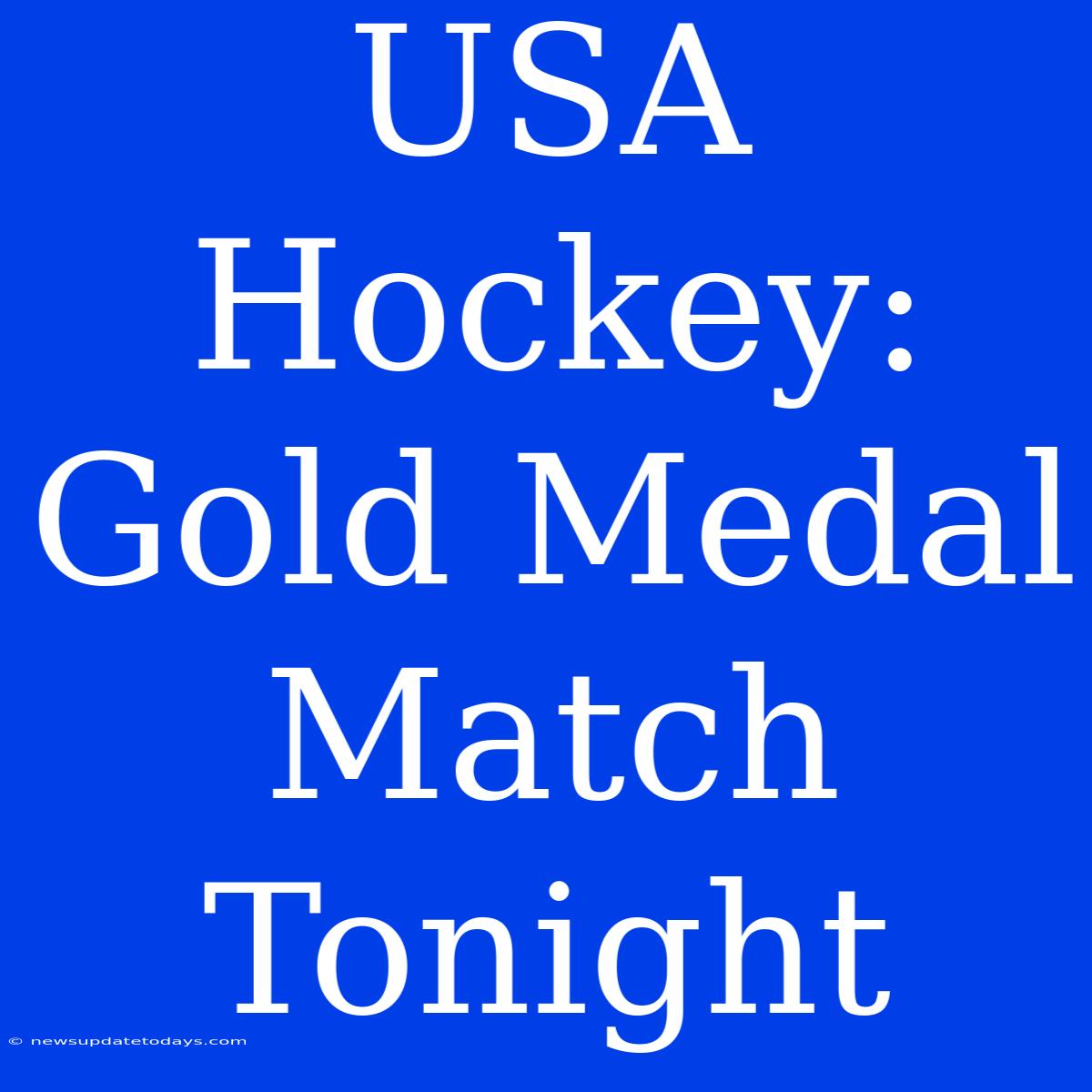 USA Hockey: Gold Medal Match Tonight