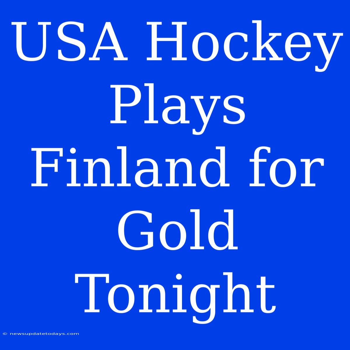 USA Hockey Plays Finland For Gold Tonight