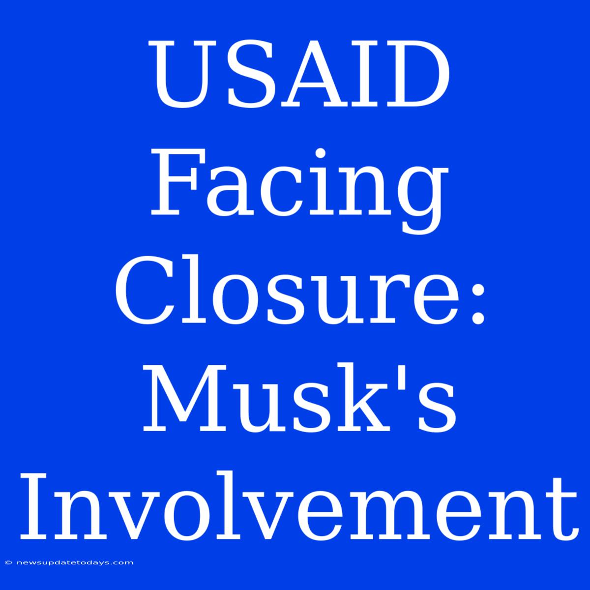 USAID Facing Closure: Musk's Involvement