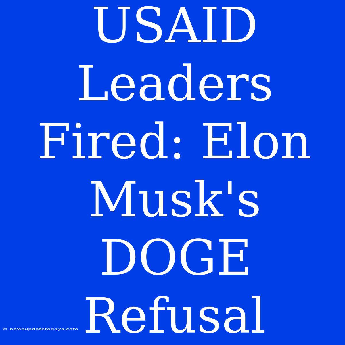 USAID Leaders Fired: Elon Musk's DOGE Refusal