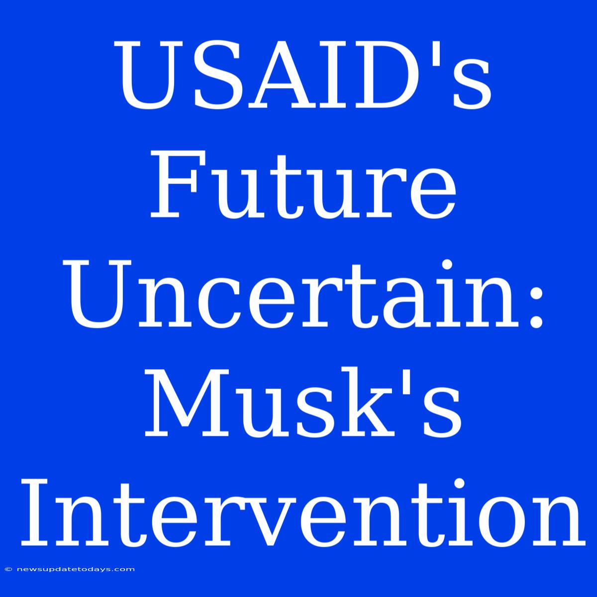 USAID's Future Uncertain: Musk's Intervention