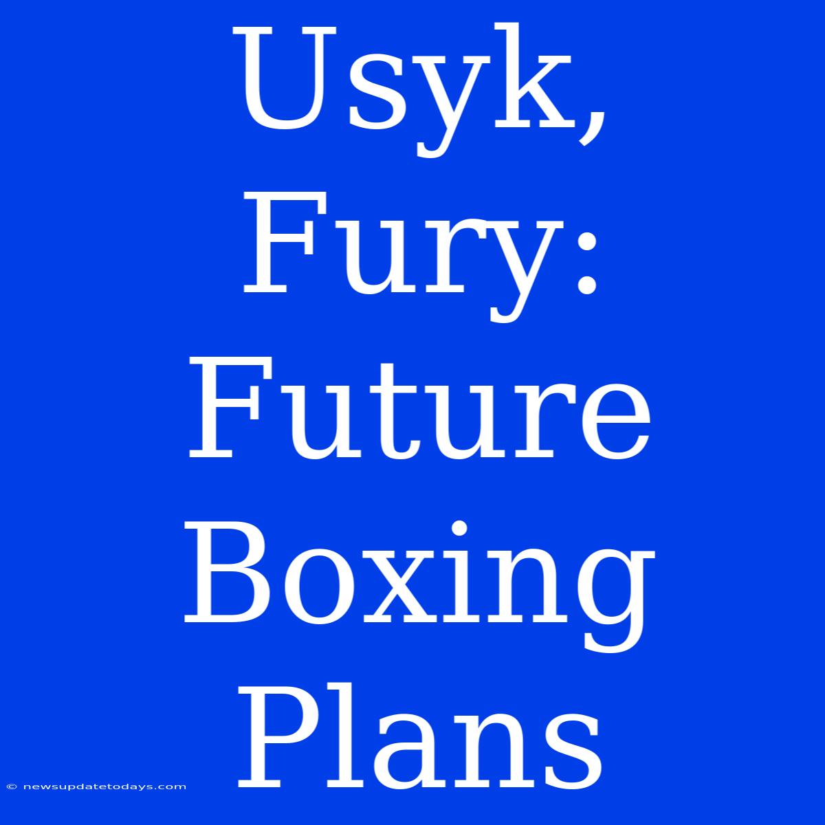 Usyk, Fury: Future Boxing Plans