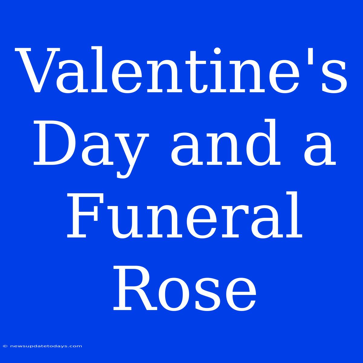 Valentine's Day And A Funeral Rose