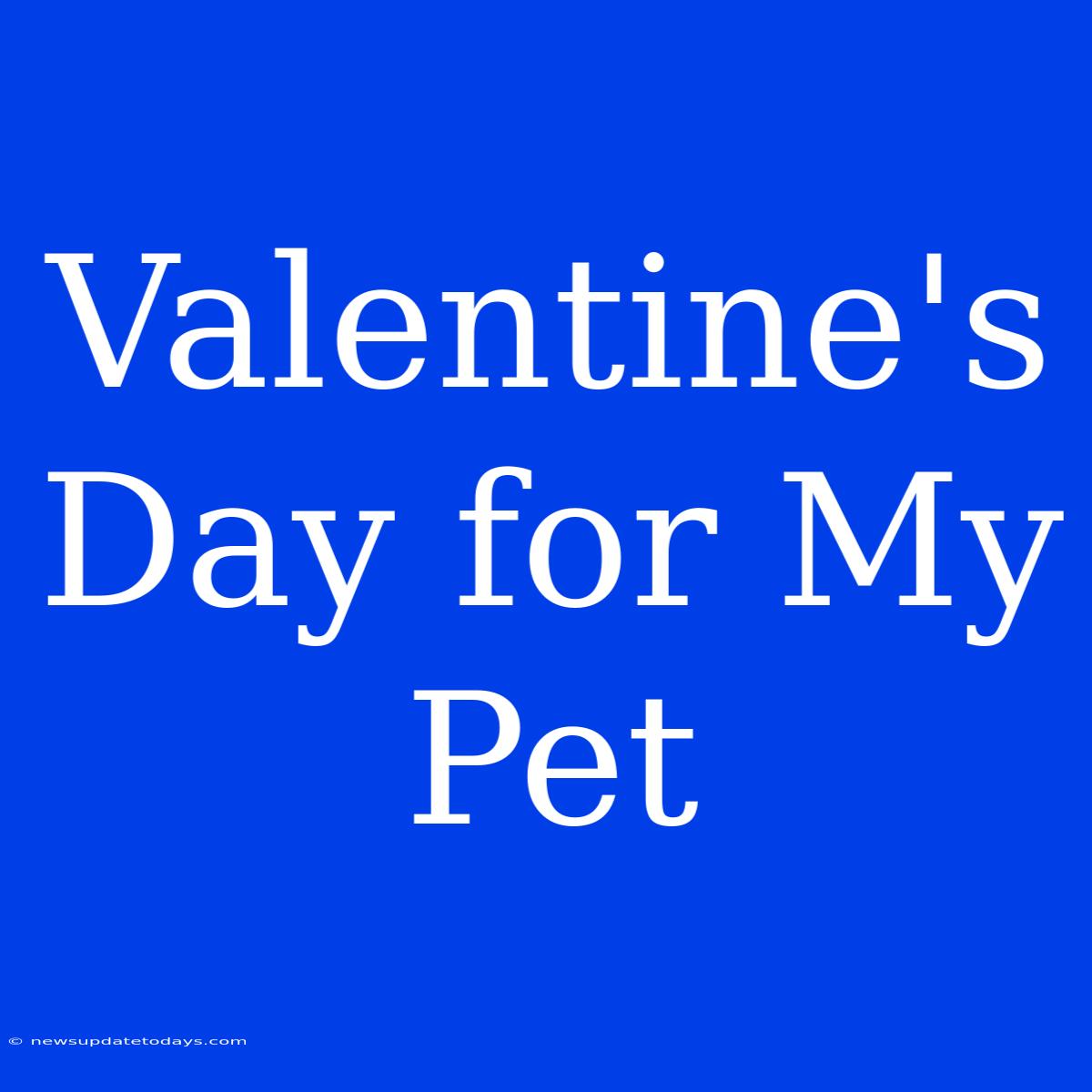 Valentine's Day For My Pet