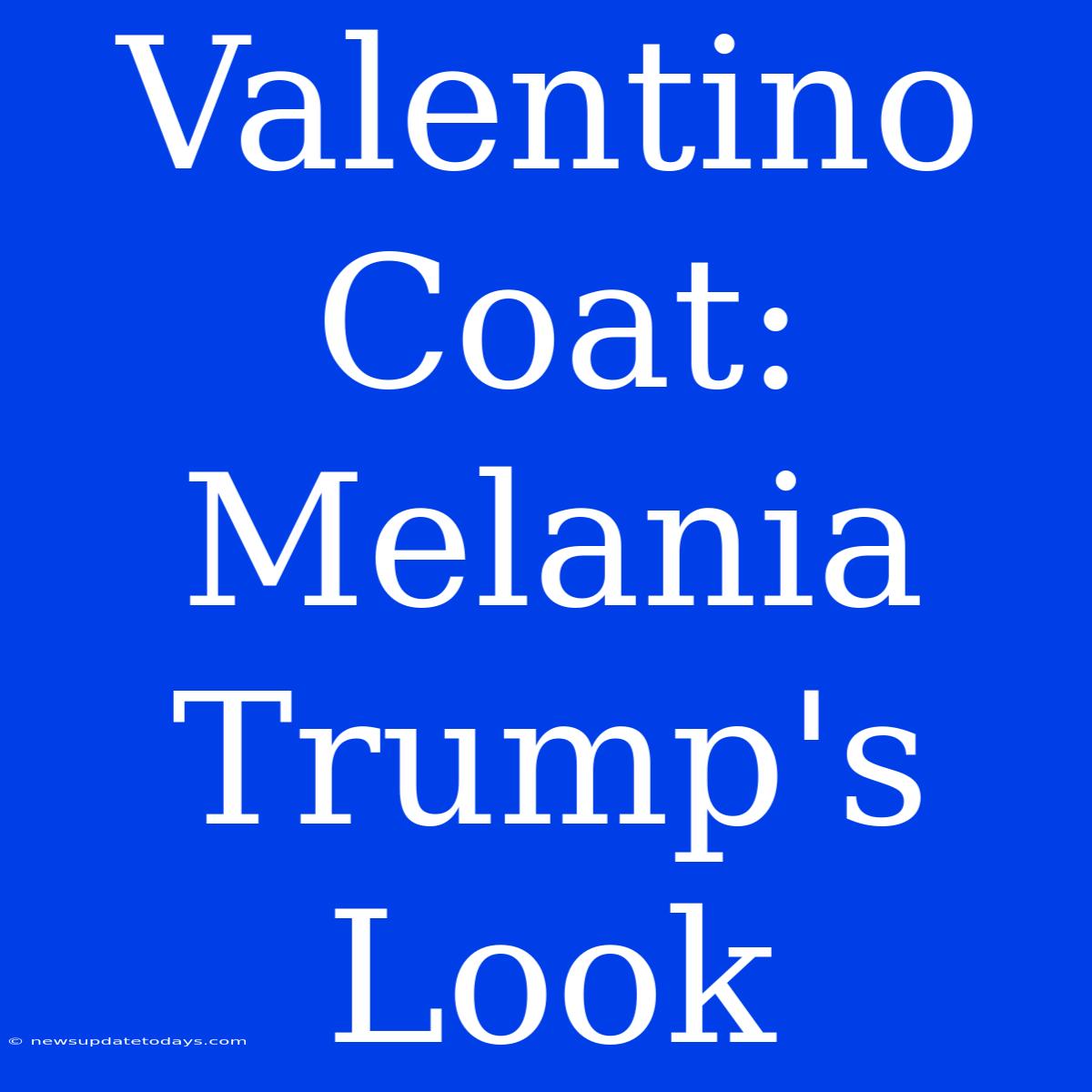 Valentino Coat: Melania Trump's Look