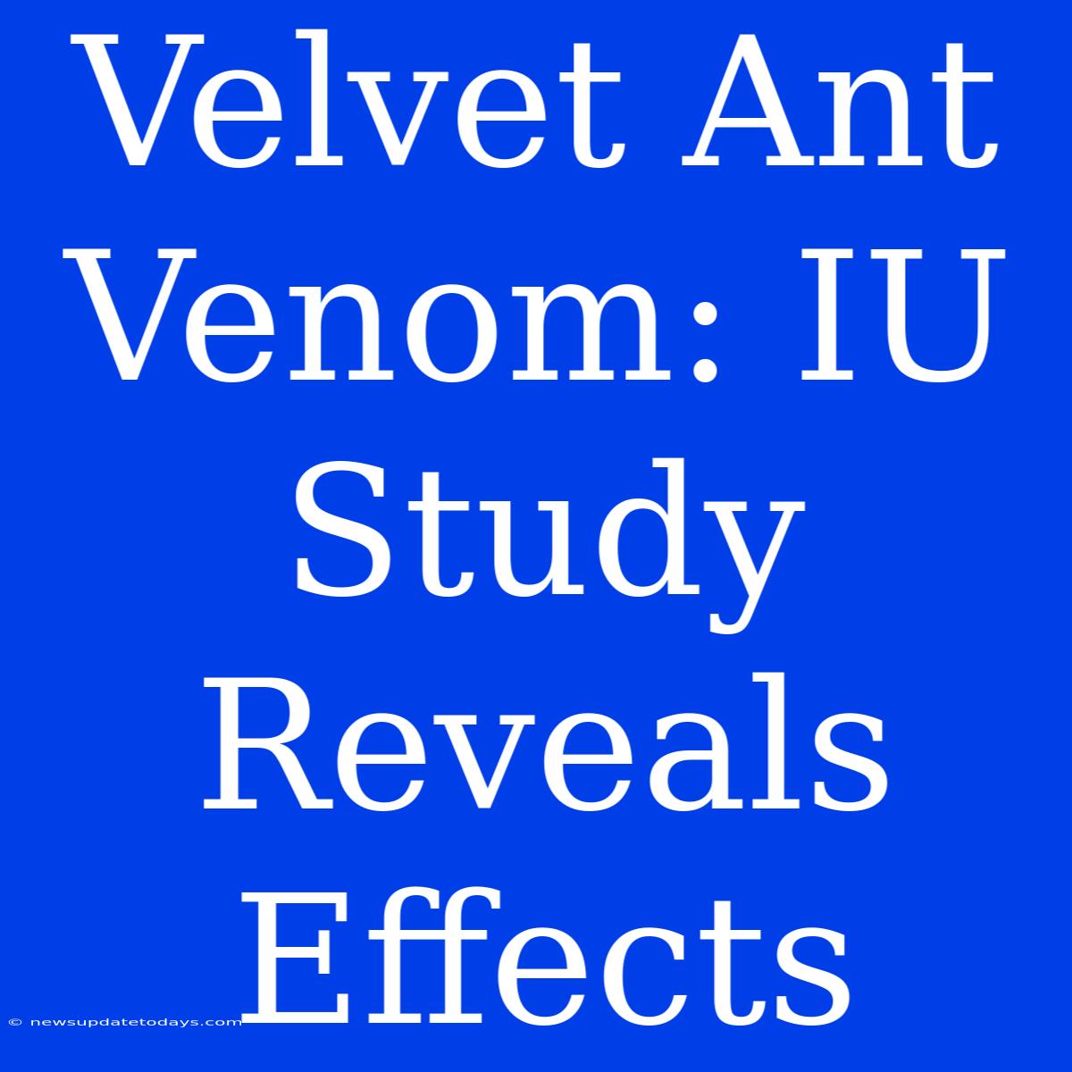 Velvet Ant Venom: IU Study Reveals Effects