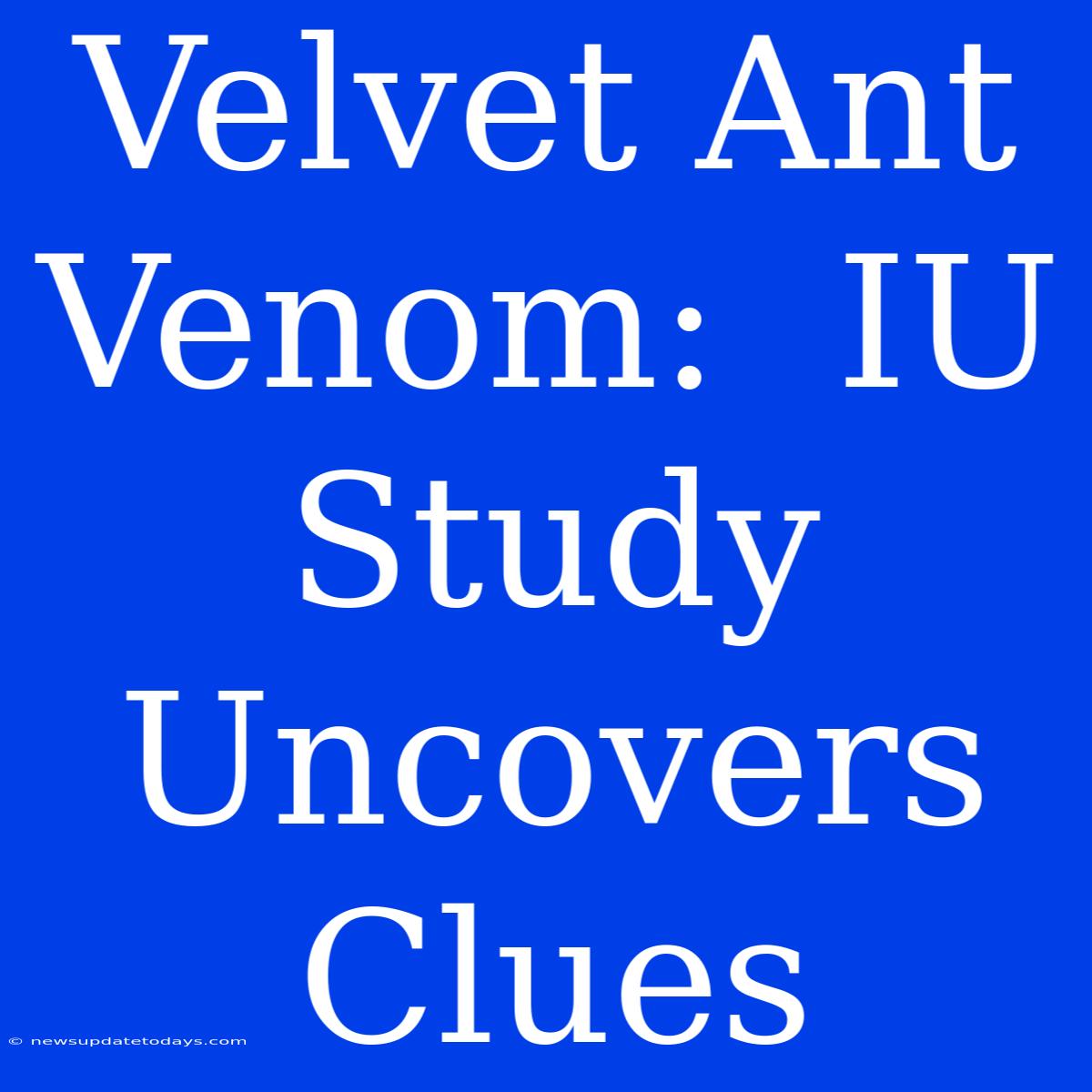 Velvet Ant Venom:  IU Study Uncovers Clues