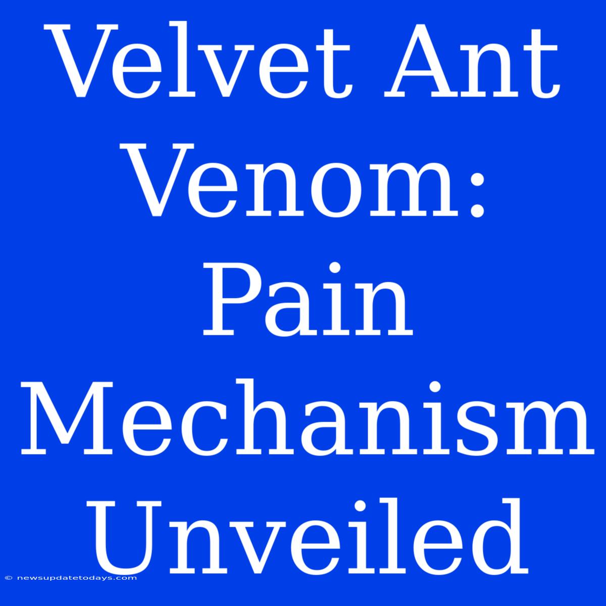 Velvet Ant Venom:  Pain Mechanism Unveiled