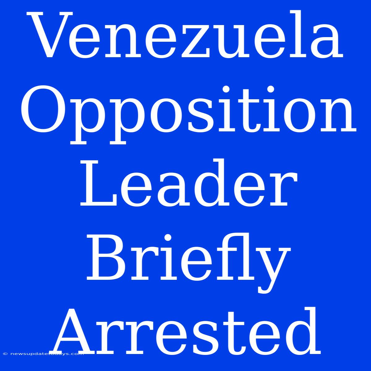 Venezuela Opposition Leader Briefly Arrested