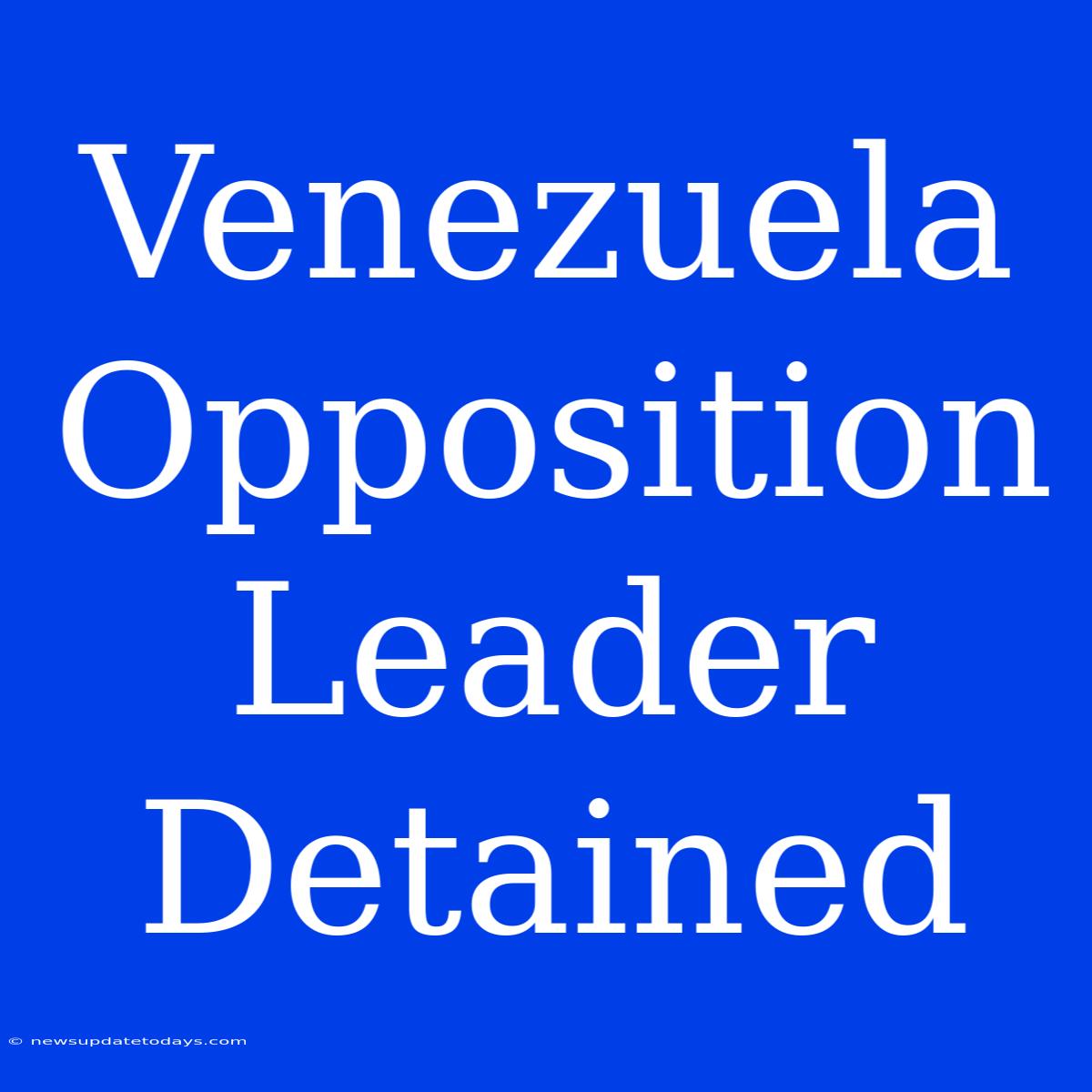 Venezuela Opposition Leader Detained