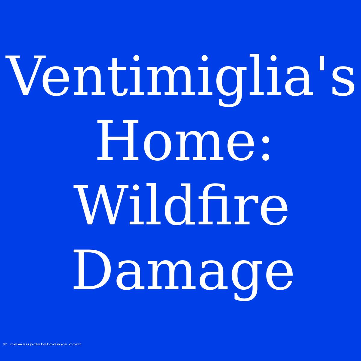 Ventimiglia's Home: Wildfire Damage