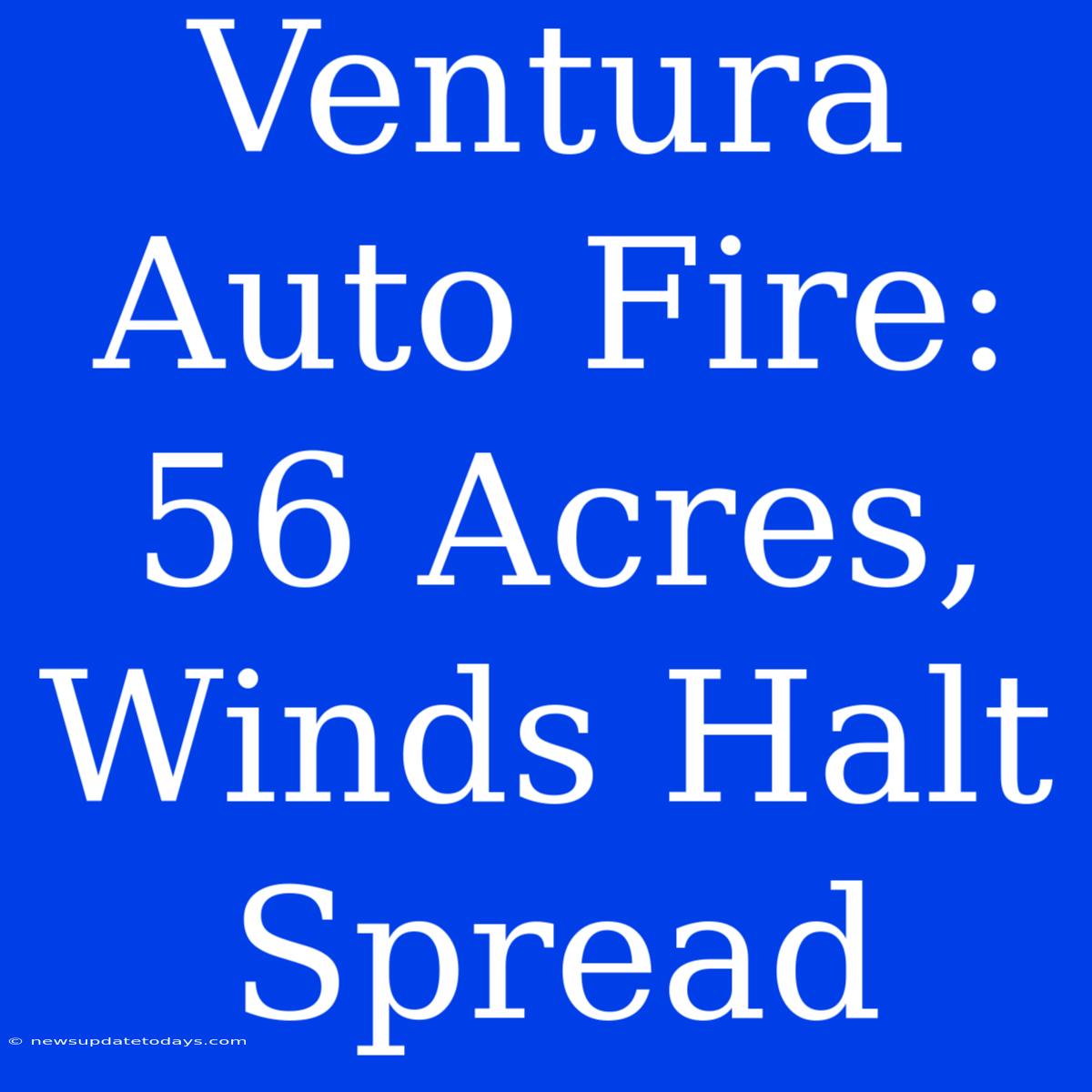 Ventura Auto Fire: 56 Acres, Winds Halt Spread