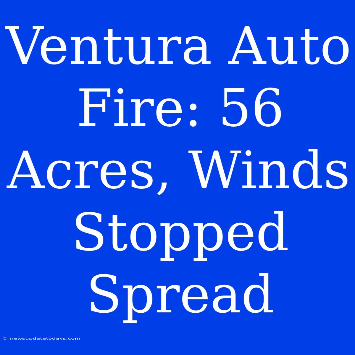 Ventura Auto Fire: 56 Acres, Winds Stopped Spread